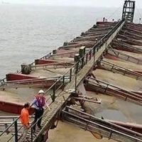 用海水“淡化”海砂！廣東開展違規(guī)海砂專項治理
